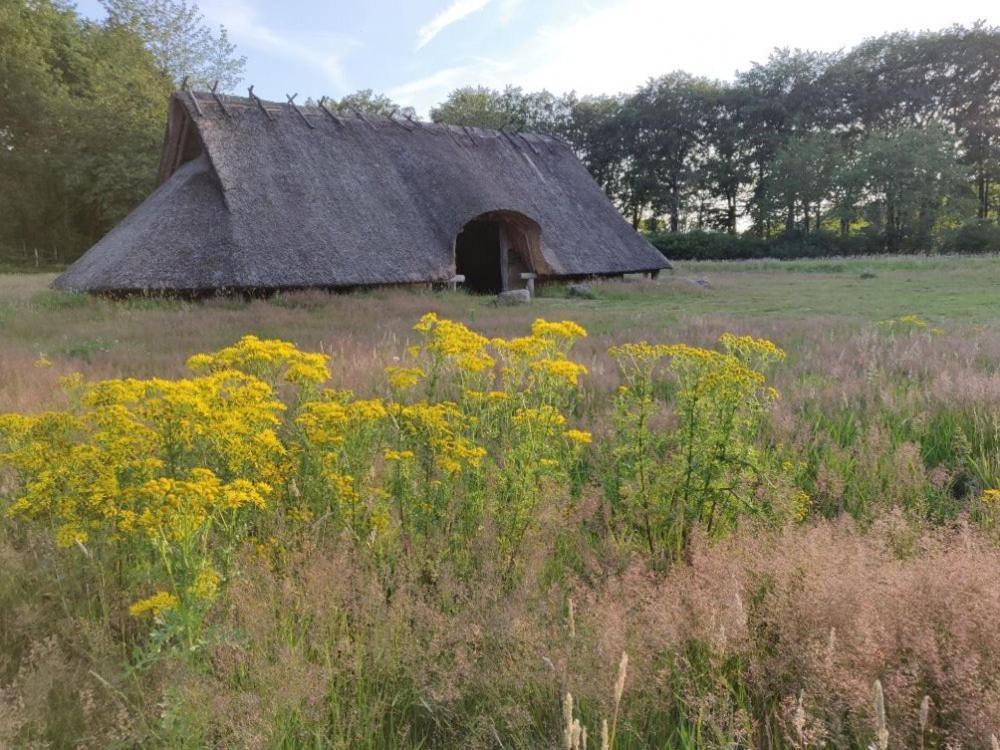 Villa Vakantie Op De Veluwe à Lunteren Extérieur photo