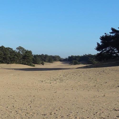 Villa Vakantie Op De Veluwe à Lunteren Extérieur photo